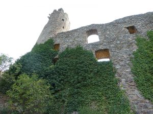 Burgruine Ehrenfels