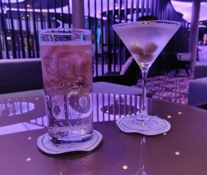Port Tonic und Dry Martini Cocktail