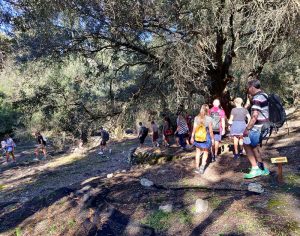 Wanderung durch die Olivenhaine