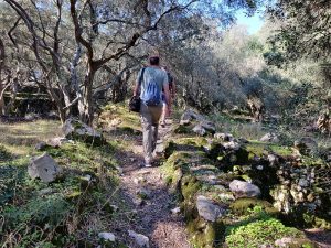 Wanderung durch die Olivenhaine