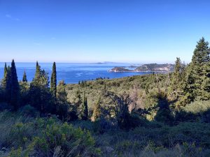 Blick zur Bucht