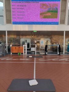 Morgengymnastik