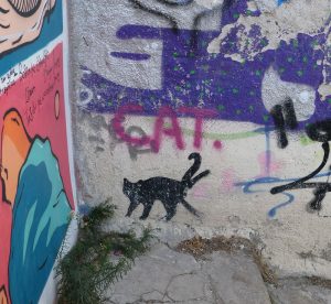 griechische Katzen