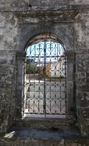 Krini