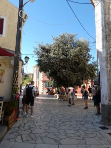 Krini