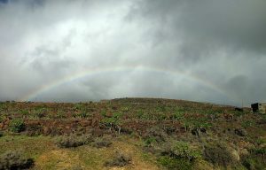 erste Regenbögen
