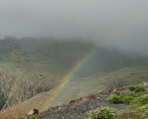 erste Regenbögen