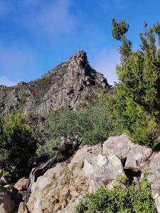 Mirador de Los Roques