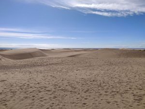 Dünen von Maspalomas