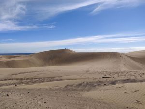 Dünen von Maspalomas