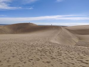 Dünen von Maspalomas