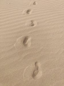 meine Spuren im Sand
