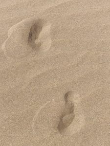 meine Spuren im Sand