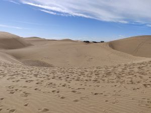 Dünen von Maspalomas