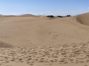 Dünen von Maspalomas