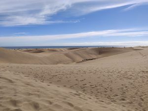 Dünen von Maspalomas