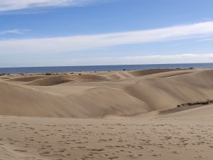 Dünen von Maspalomas
