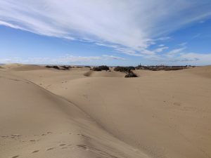 Dünen von Maspalomas