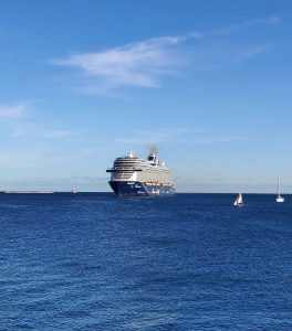 Einlaufen der Mein Schiff 1