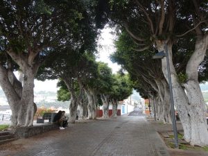 Plaza de la Encarnación