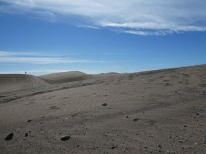 Dünen von Maspalomas