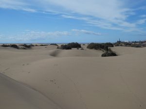 Dünen von Maspalomas