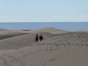 Dünen von Maspalomas
