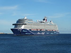 Einlaufen der Mein Schiff 1