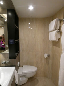 Blick zur Toilette / Handtuchstangen