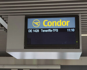 oder doch Teneriffa?
