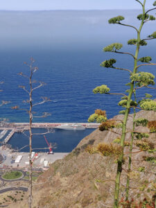 Mirador de La Conceptión