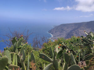 Mirador de Isora