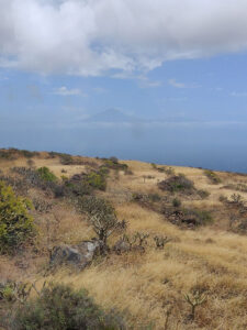 Blick auf den Teide
