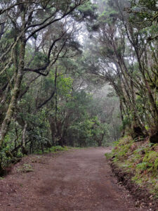 Wanderung im Nationalpark