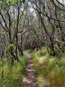 Wanderung im Nationalpark