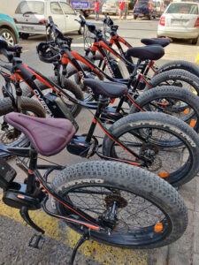 die Fat-E-Bikes