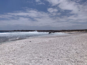 Popcorn Beach