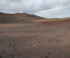 Rundfahrt durch den Timanfaya Nationalpark