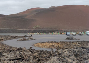 Dromedar-Touren vor dem Nationalpark