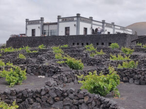 Weingut La Geria