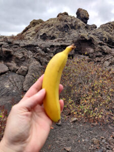 kanarische Banane als Pausensnack