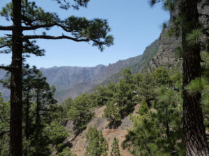 Parque Nacional de la Caldera de Taburiente