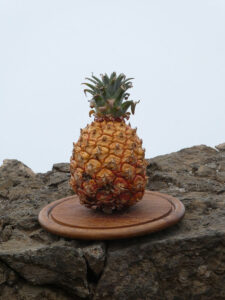 Ananas