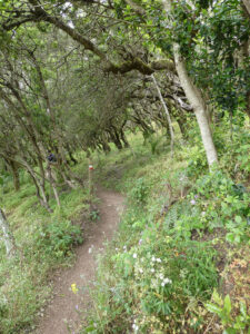 Wanderung im Nationalpark