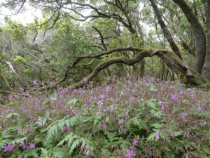 Wanderung im Nationalpark