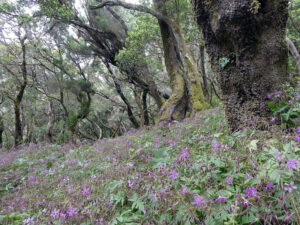 Wanderung im Nationalpark