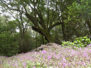 Wanderung im Nationalpark