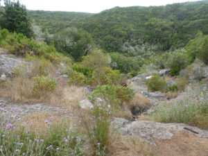 Wanderung im Nationalpark