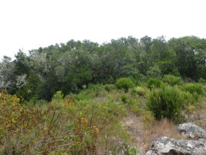 Wanderung im Nationalpark