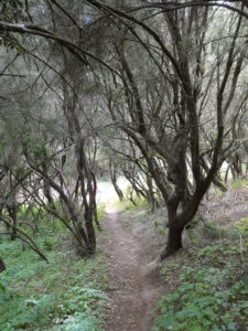 Wanderung im Nationalpark
